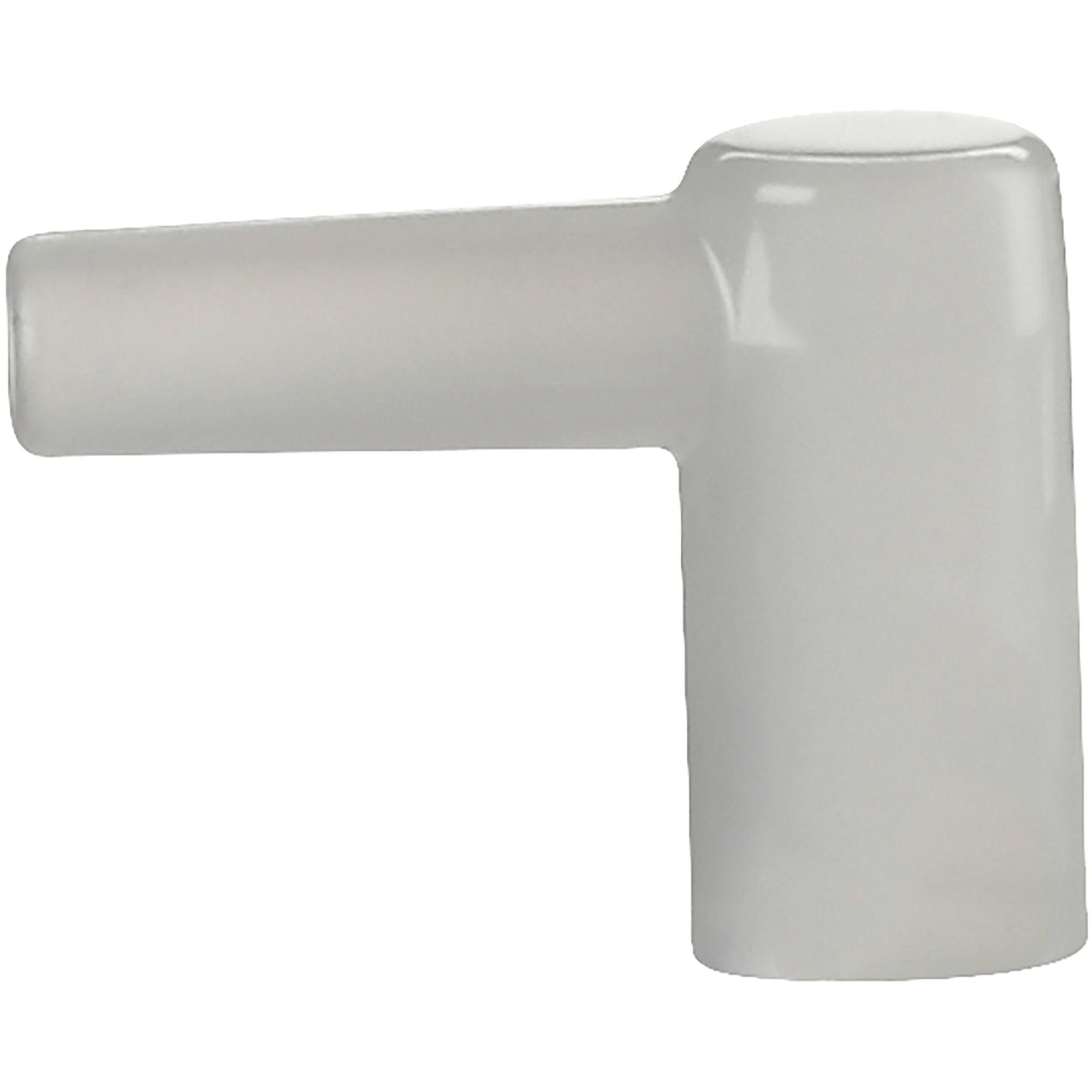 Main Thumb