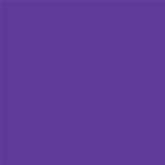 Gallery Thumb