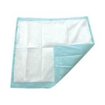 SECURE PERSONAL CARE PRODUCTS TotalDry™ Incontinence Underpads, Light Absorbency, Blue 30 x 30 Inch SP113062